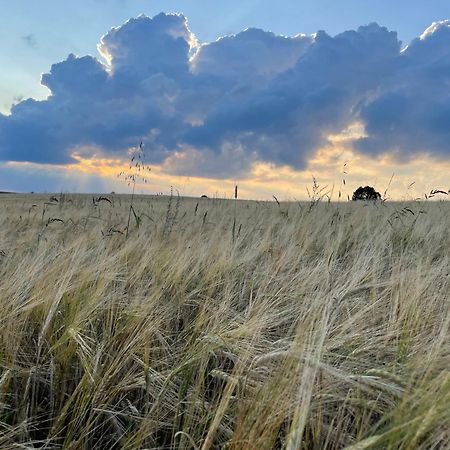 Willa Chociwlanka Bobolice  Zewnętrze zdjęcie